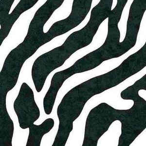 Meet your Posher, Neesa